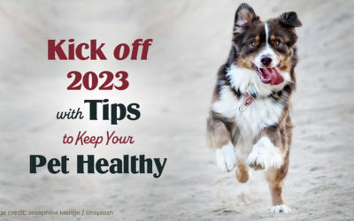 Kick off 2023 with Tips to Keep Your Pet Healthy